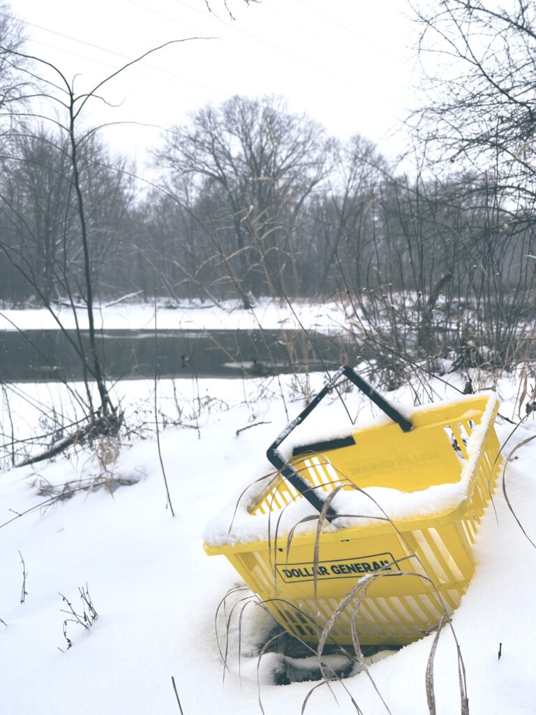 Photo of a Dollar General shopping basket in the snowy weeds by a river