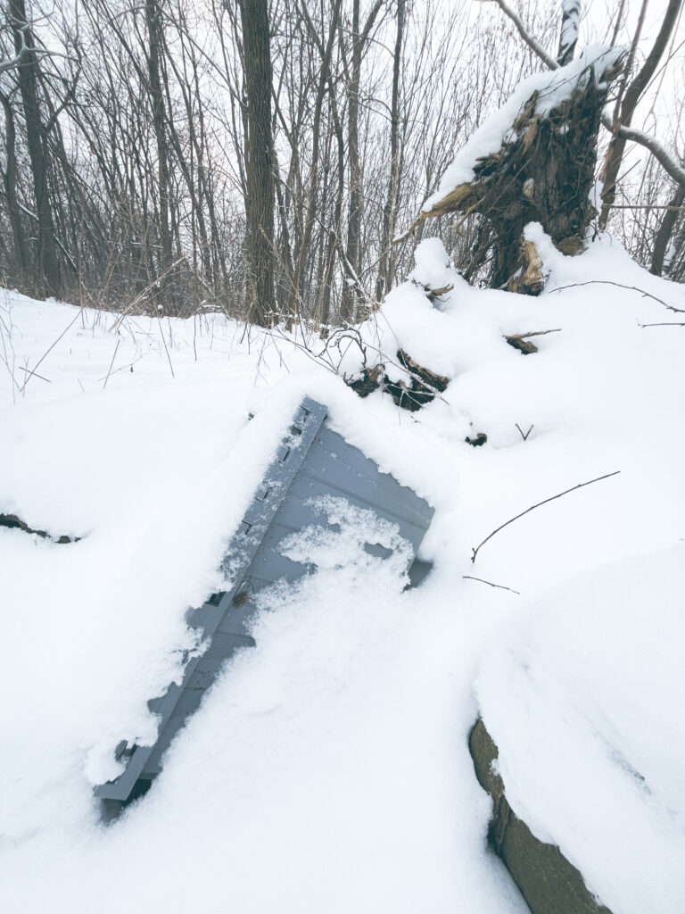 Photo of a gray plastic storage tub buried in snow on the forest floor