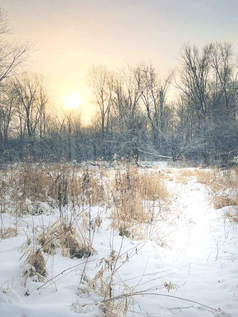 Photo of trail through a snowy field with the sunrise rising through trees in the background