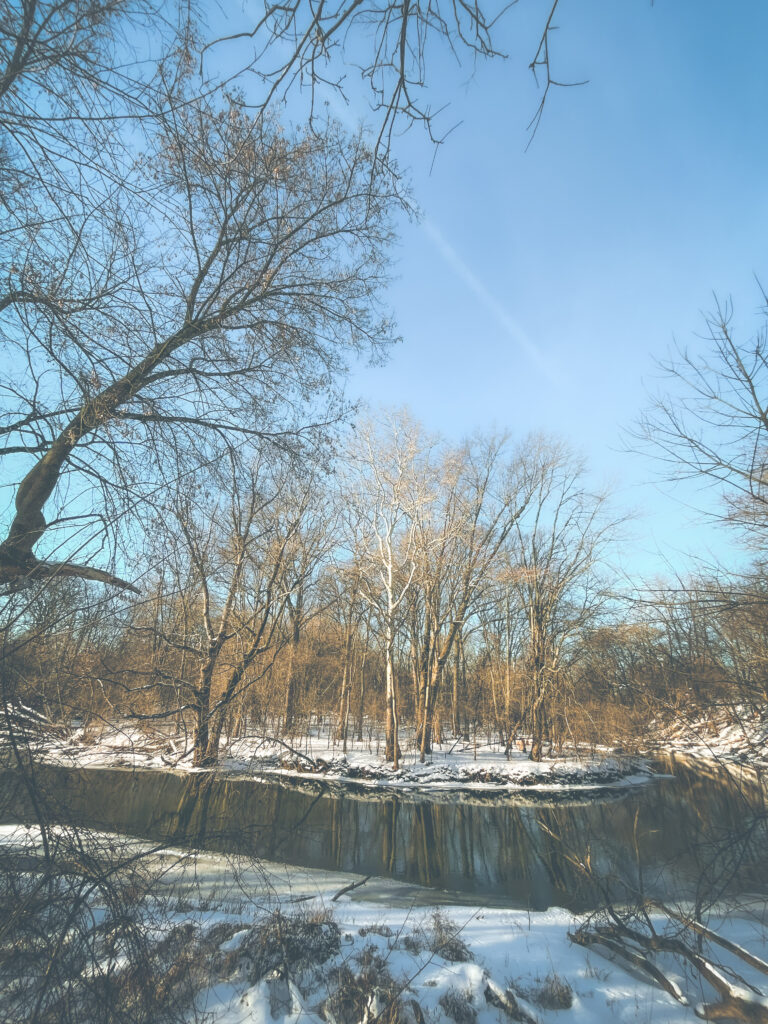 photo of a river bend in a winter woods with blue sky and snow